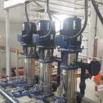 whatsapp image 2025 10 26 at 9.28.25 pm