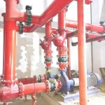 whatsapp image 2025 10 28 at 2.42.40 pm