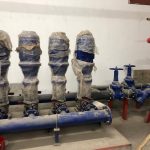 whatsapp image 2025 10 28 at 2.42.50 pm